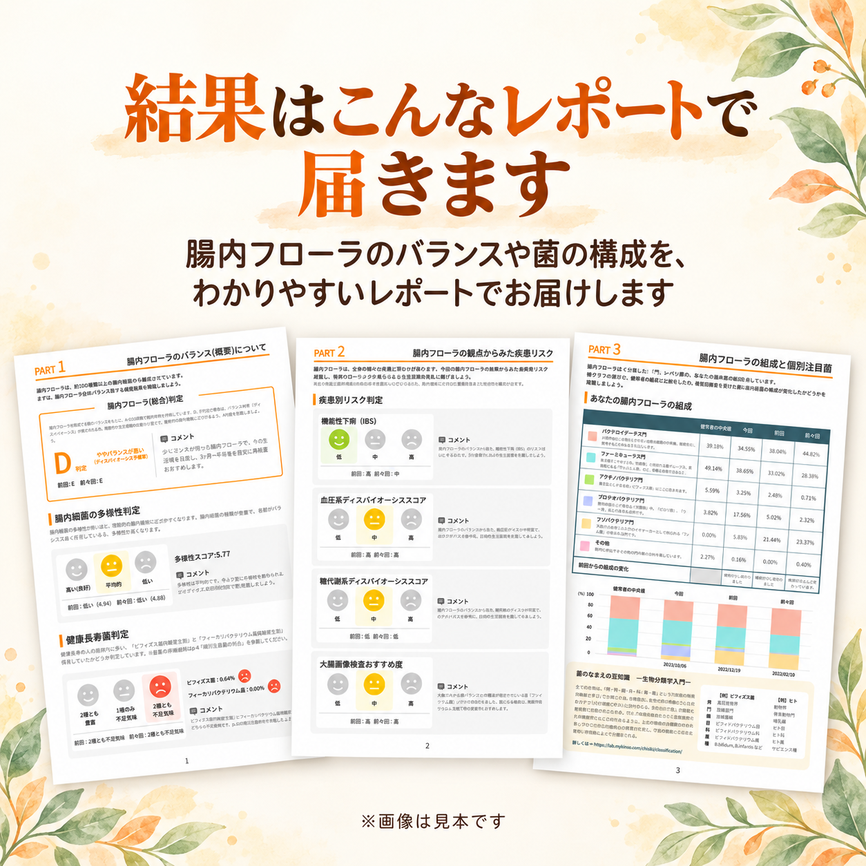 腸内フローラ検査 Mykinso Pro（マイキンソーPro）【検査キット単品